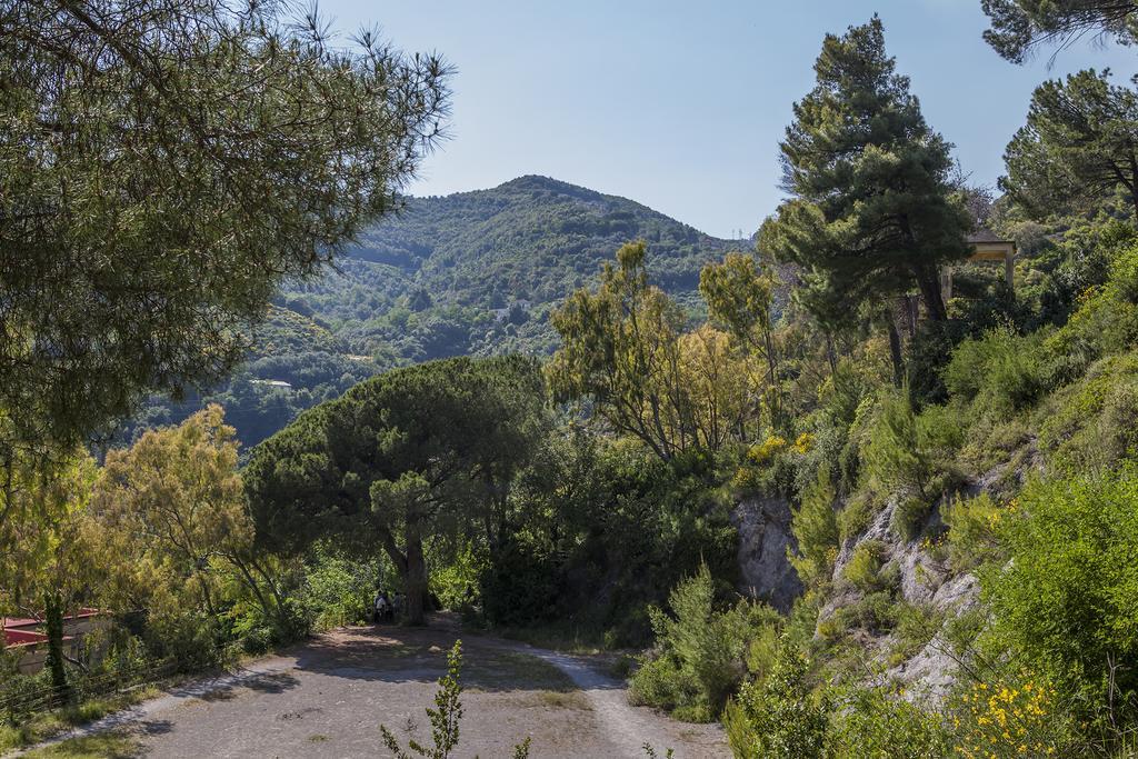 B&B La Contessa Salerno Zewnętrze zdjęcie